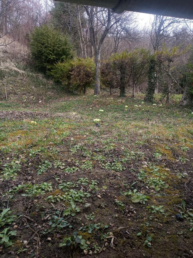 Holiday Home Nature Plesivica Jastrebarsko Esterno foto